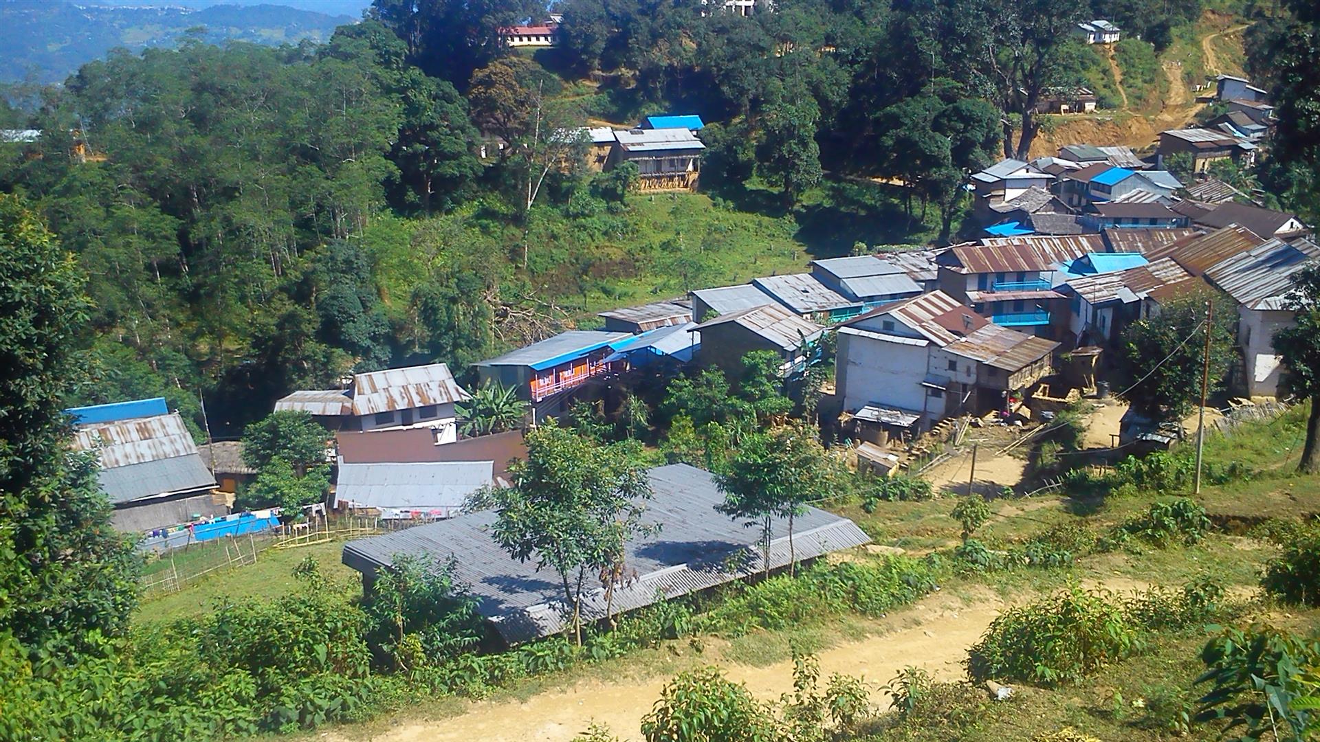 image1